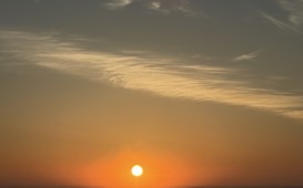 IMG_4764