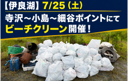 547fe0d7-0eec-41a5-8277-75dd9dd73d41