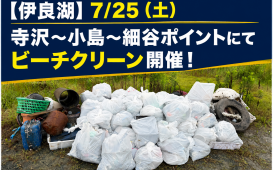 547fe0d7-0eec-41a5-8277-75dd9dd73d41