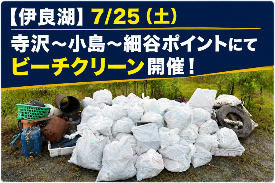 547fe0d7-0eec-41a5-8277-75dd9dd73d41