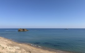 IMG_2970