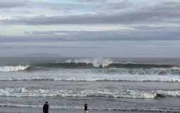 IMG_4262