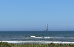 IMG_4904