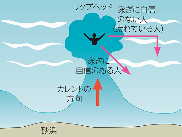 「日本ライフセービング協会」出典