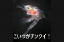 名称未設定のデザイン (2)