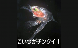 名称未設定のデザイン (2)