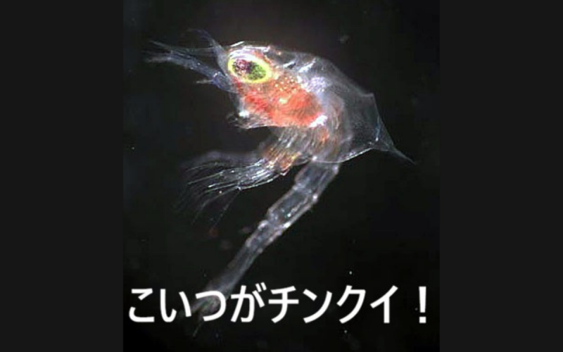 名称未設定のデザイン (2)
