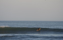 DSC09008
