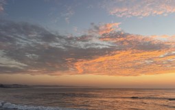 IMG_5010