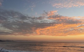 IMG_5010