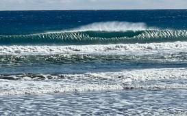 IMG_9413