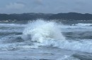 IMG_9873