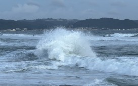 IMG_9873