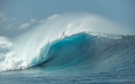 Photo Credit：©DANIEL RUSSO