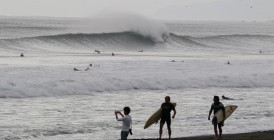 IMG_3741-274x140
