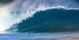 shutterstock_284874848-856x257