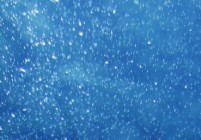bf9f0b6628c9642dcb1c72b18d1374b2_s-640x257